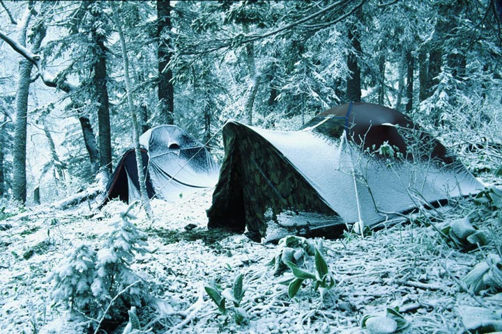 In mountains Sihote-Alinja, on June, 12 after a snowfall. A photo � Konstanitin Mihajlov.