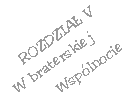 Rozdzia� V