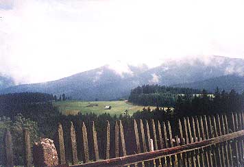 Widok z Hali Boraczej